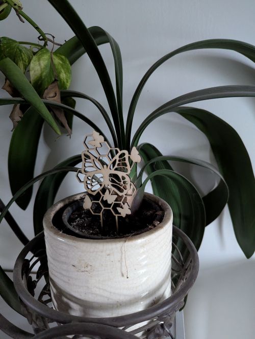Décoration pour plante