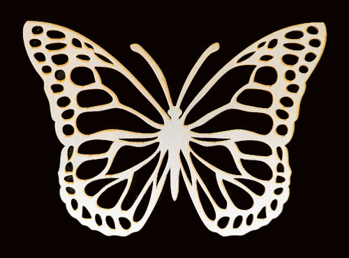 Papillon décoratif
