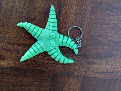 Porte-clef étoile de mer